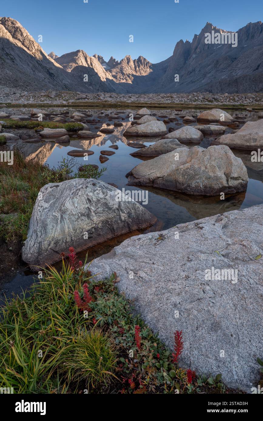 Prato, stagno e picchi, Wind River Range, Wyoming. Foto Stock