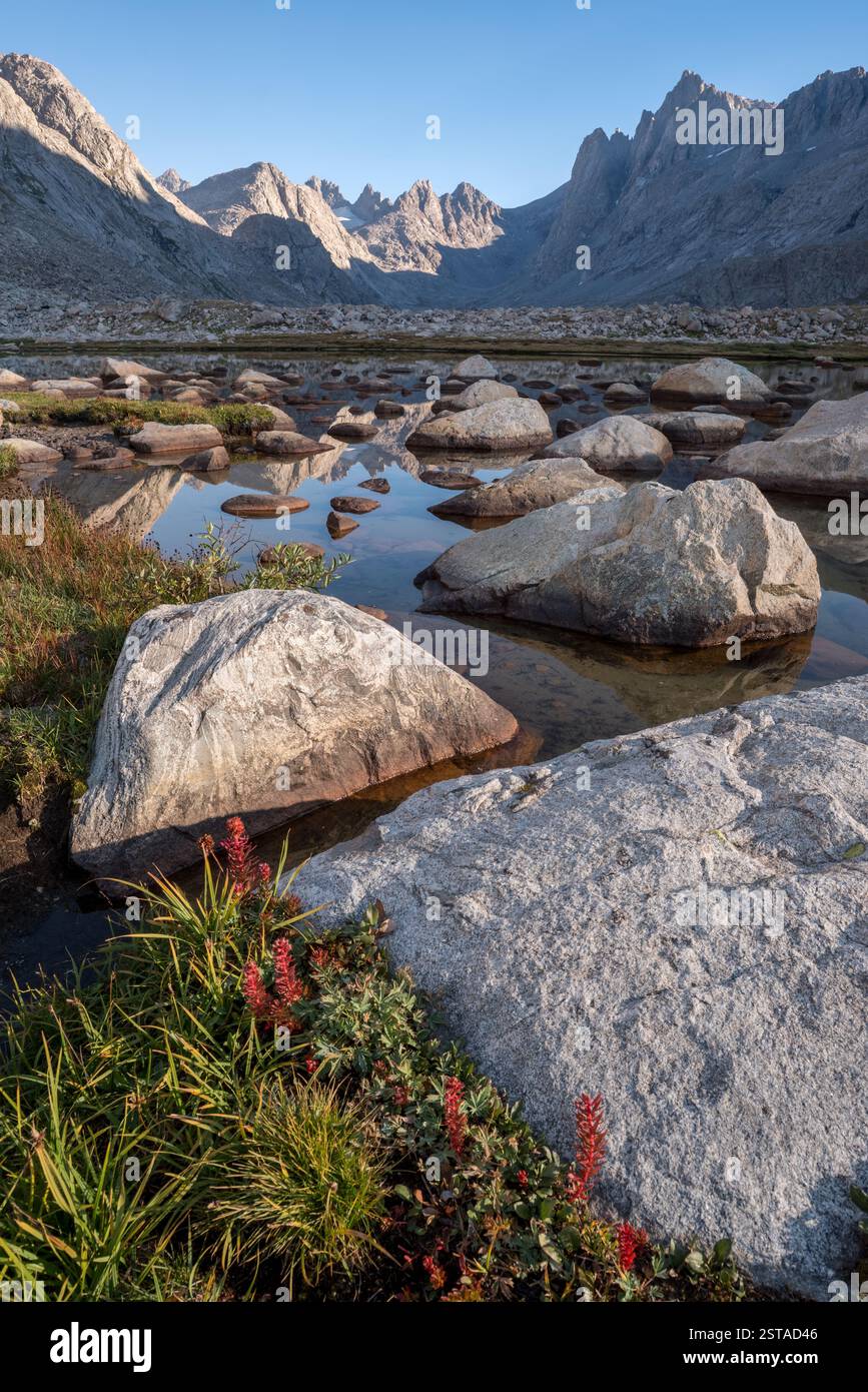 Prato, stagno e picchi, Wind River Range, Wyoming. Foto Stock