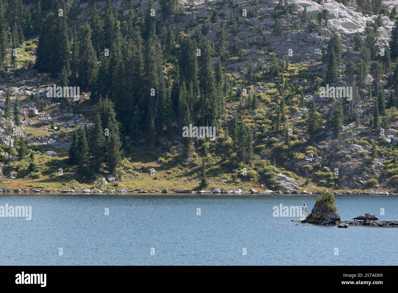 Pesca con la mosca in un lago di montagna, Bridger Wilderness, Wyoming. Foto Stock