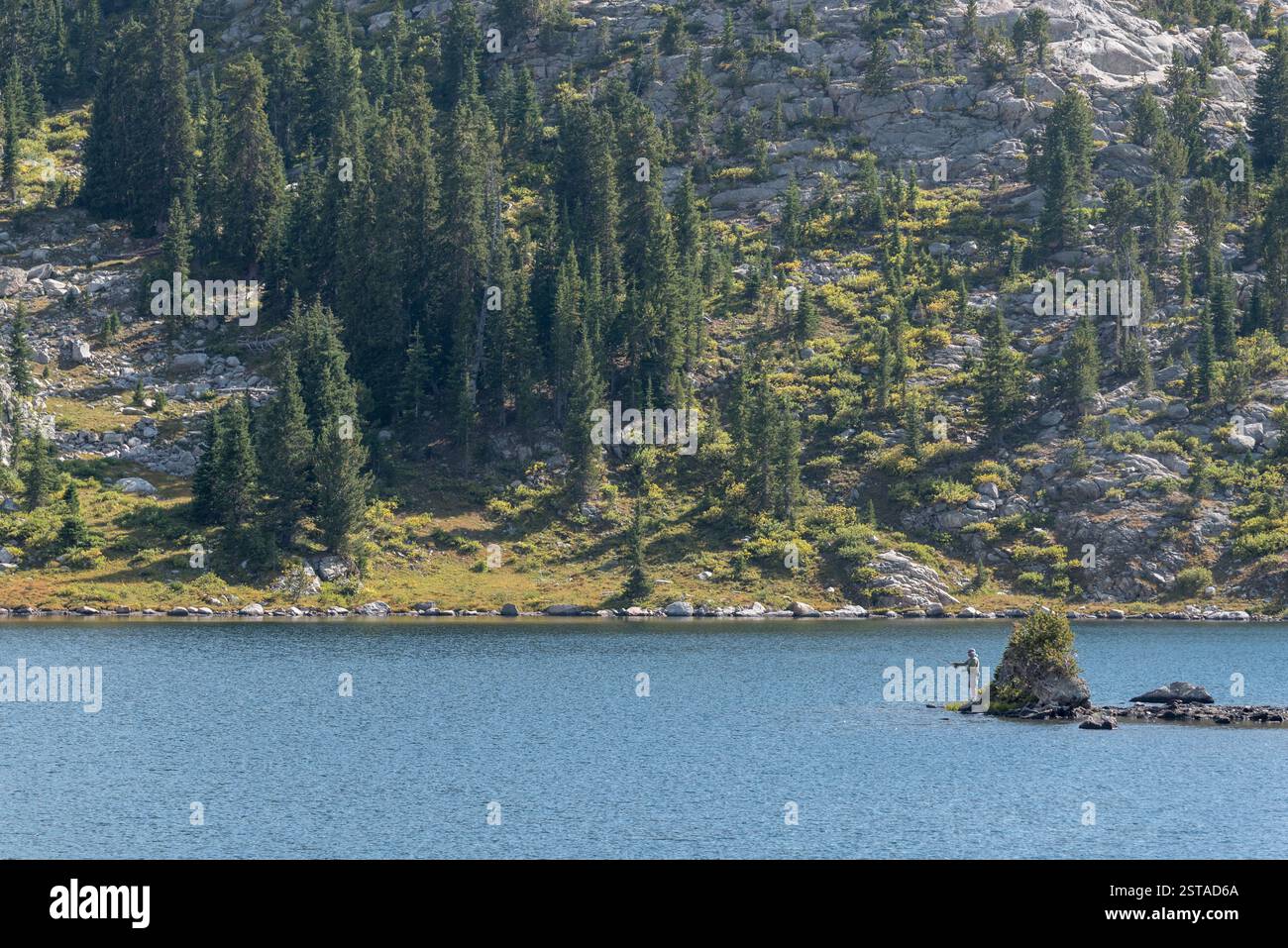 Pesca con la mosca in un lago di montagna, Bridger Wilderness, Wyoming. Foto Stock