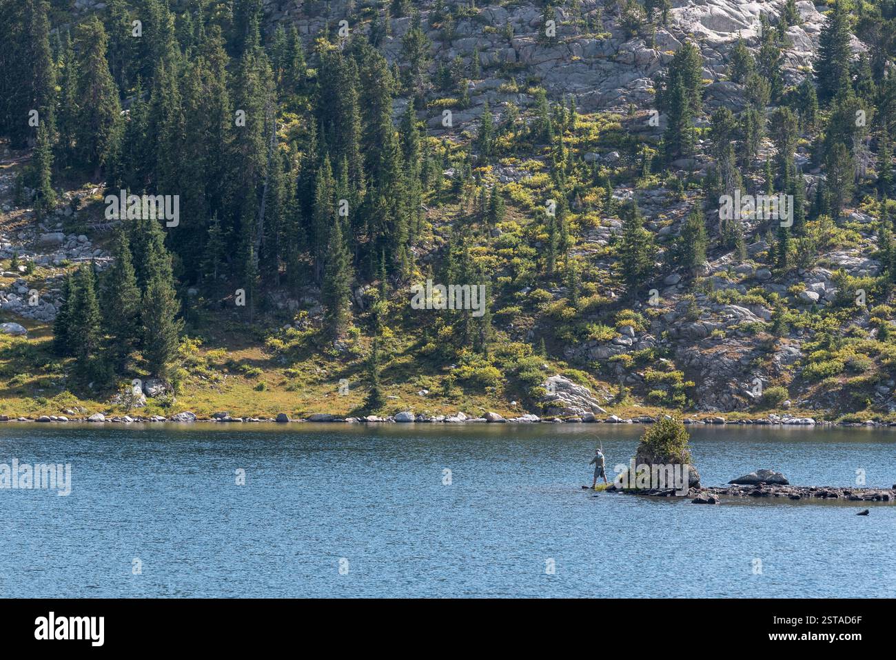 Pesca con la mosca in un lago di montagna, Bridger Wilderness, Wyoming. Foto Stock