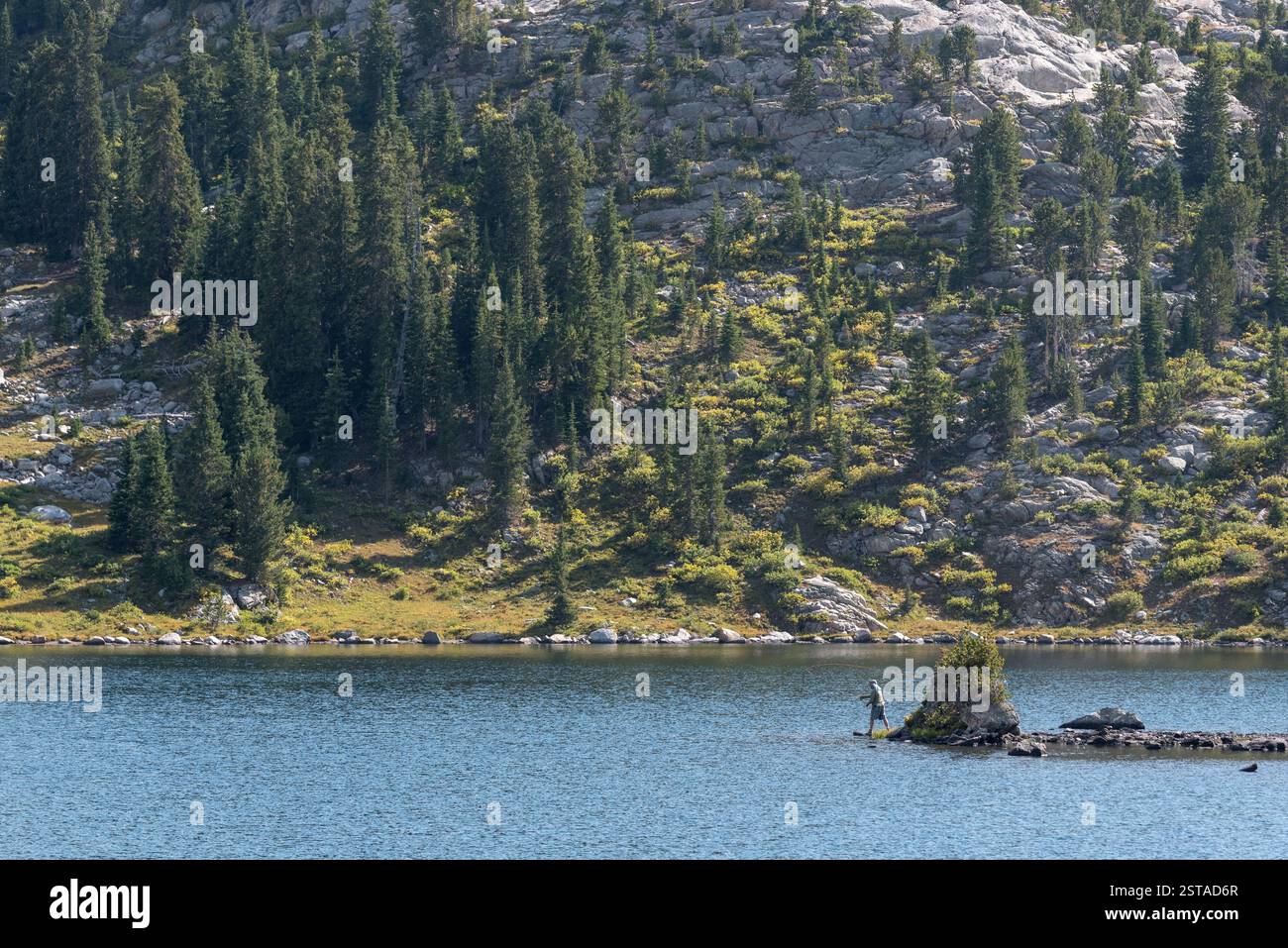 Pesca con la mosca in un lago di montagna, Bridger Wilderness, Wyoming. Foto Stock
