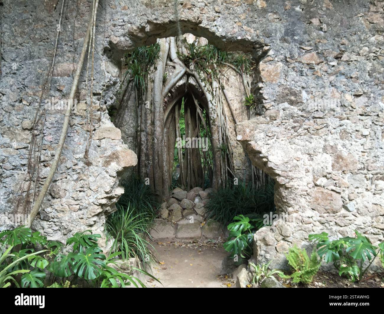 Arcata in pietra in rovina ricoperta di vegetazione. I passi di Mossy conducono attraverso l'arco in una giungla densa e ricoperta di alberi. Sintra, Portogallo. Percorso dimenticato Foto Stock
