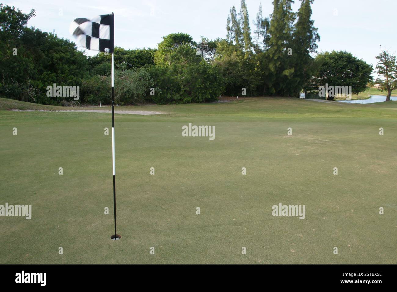 Una bandiera a scacchi in bianco e nero sventola su un campo da golf soleggiato di Miami. Una vista insolita, potrebbe segnare un torneo. Foto Stock