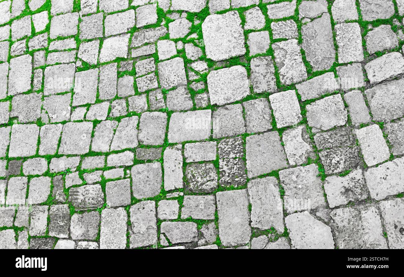 Pavimento in pietra grigia Foto Stock