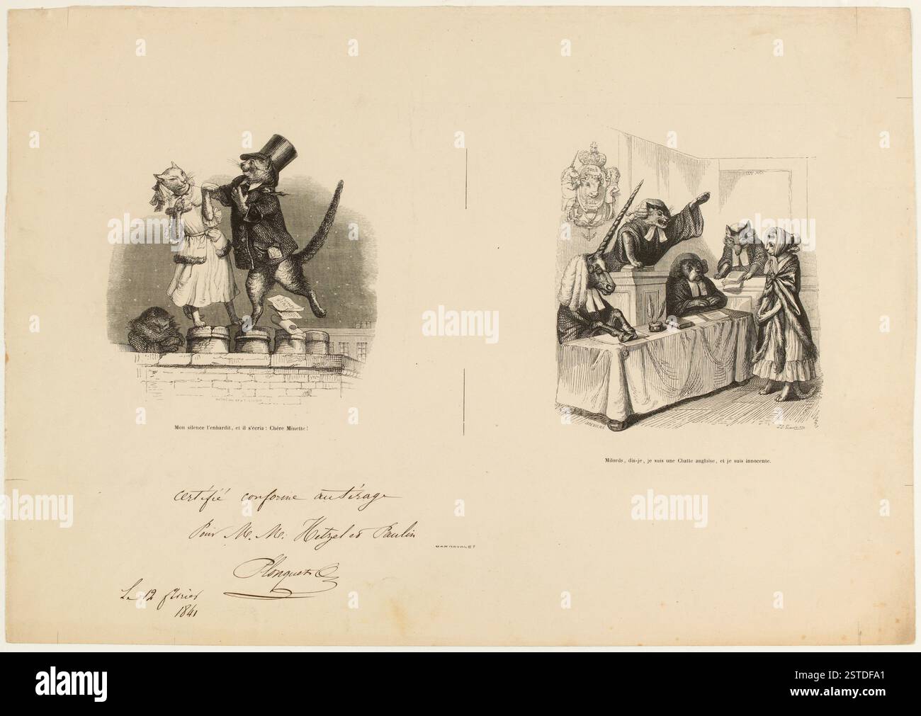 Una caricatura che mostra un paio di gatti coinvolti in un complotto politico, con uno che perde un segreto di stato. Nella seconda vignetta, una scena di processo con magistrati animali che giudicano un gatto accusato di illecito, con una corona e simboli reali. Foto Stock