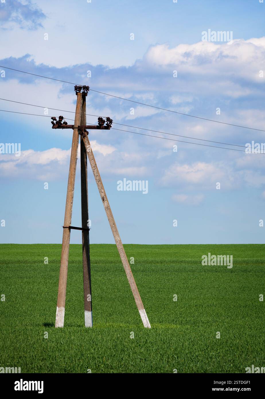 Palo in calcestruzzo - linee elettriche sul campo Foto Stock