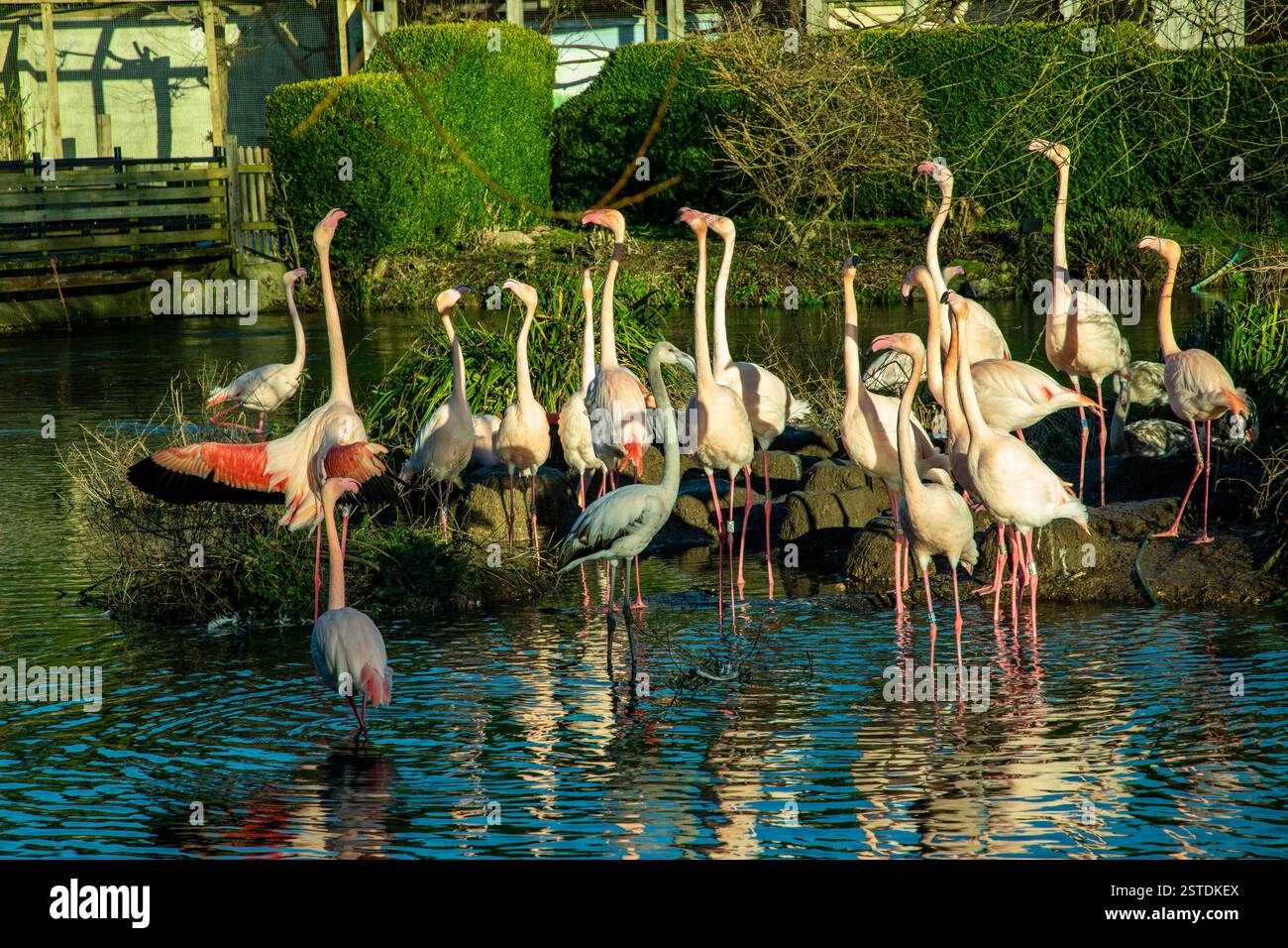 Bourton on the Water Cotswolds Foto Stock