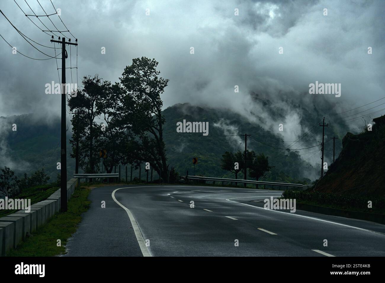 Vibrazioni mattutine moodiche: Una strada vuota inghiottita dalla nebbia. Foto Stock