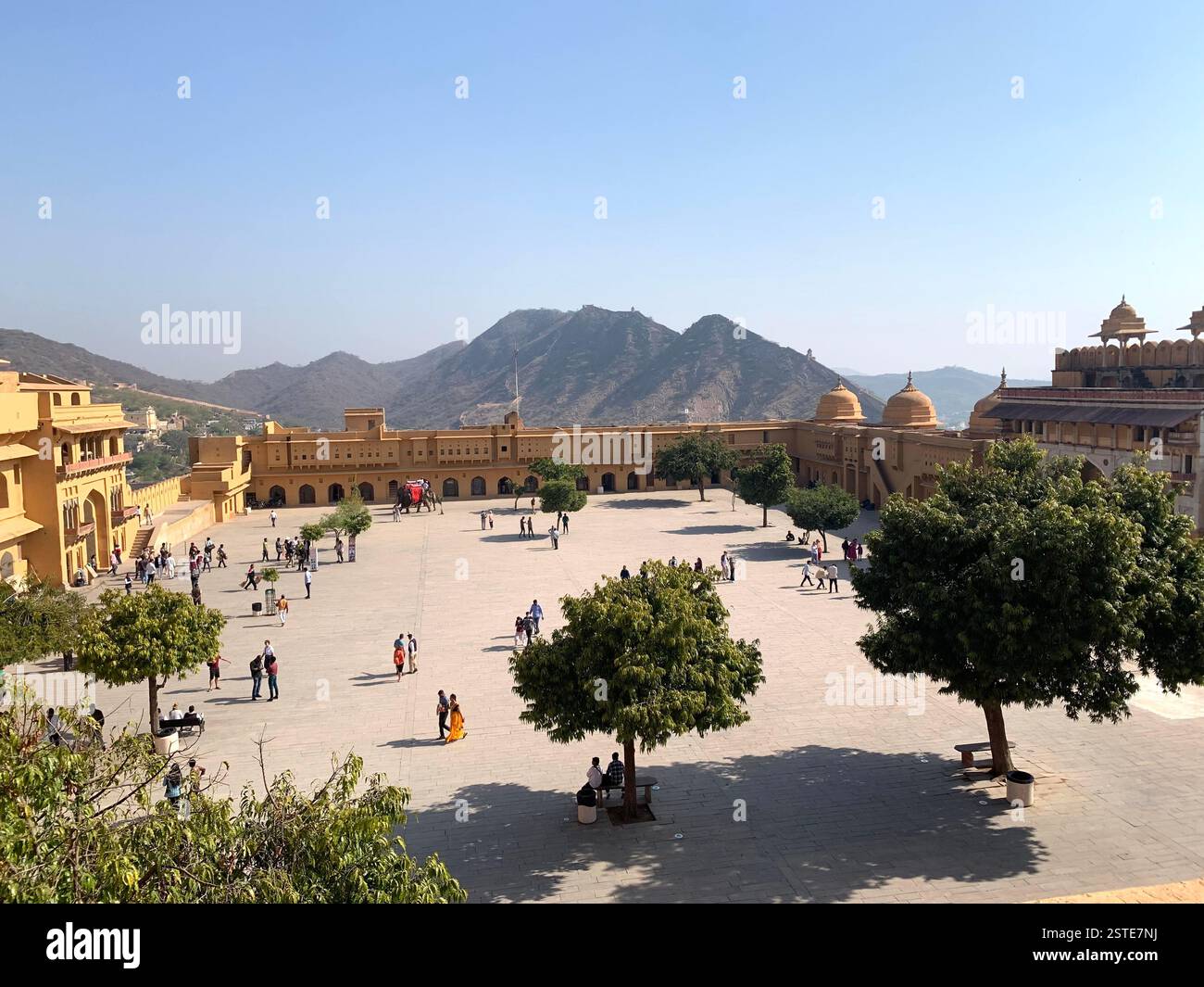 Jaipur India animali mucche strada a piedi stazione di servizio forte Nahargarth forte rosso forte Royal Family Place città montagna nera caldo - Immagine stock catturata con smartphone