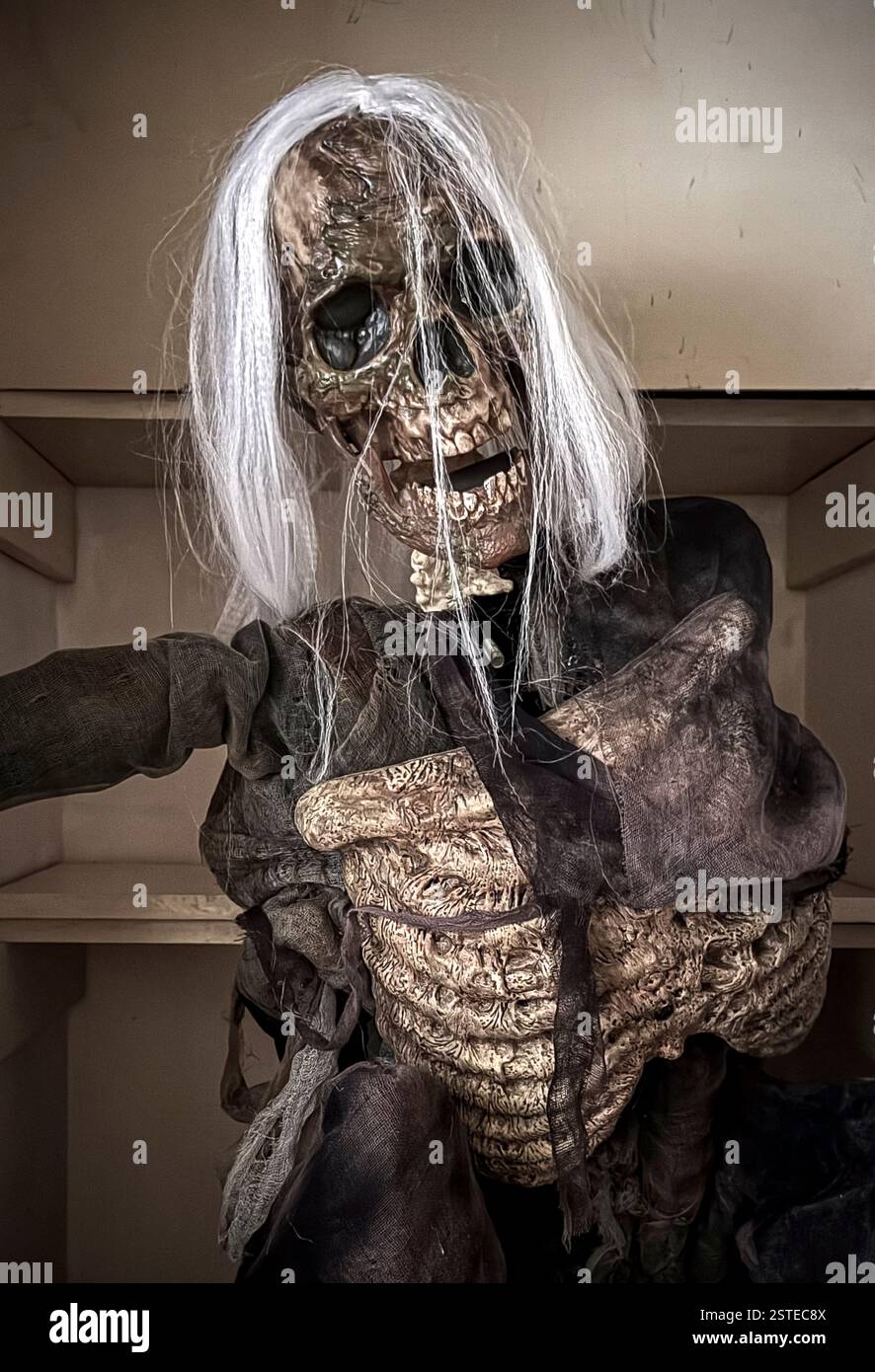 Orribile figura scheletrica. Foto Stock