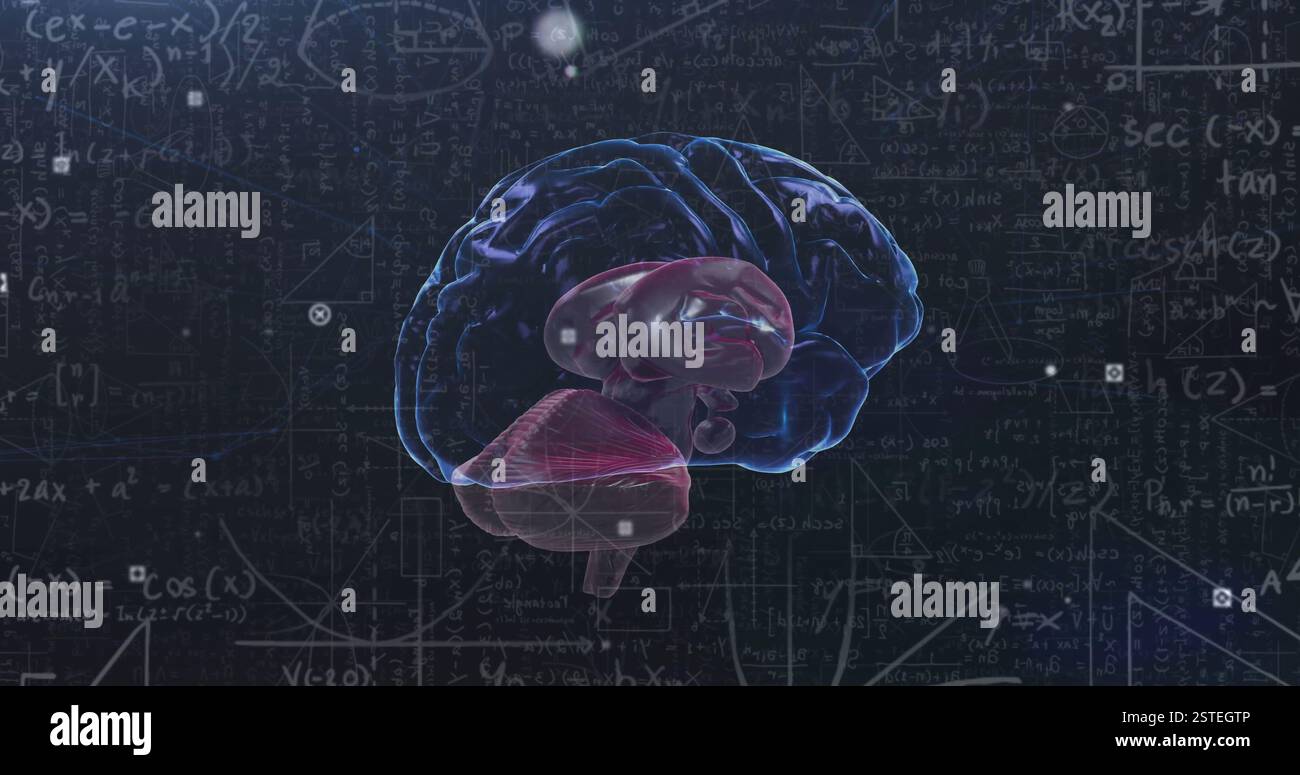 Immagine dell'anatomia cerebrale e delle equazioni matematiche su sfondo scuro Foto Stock
