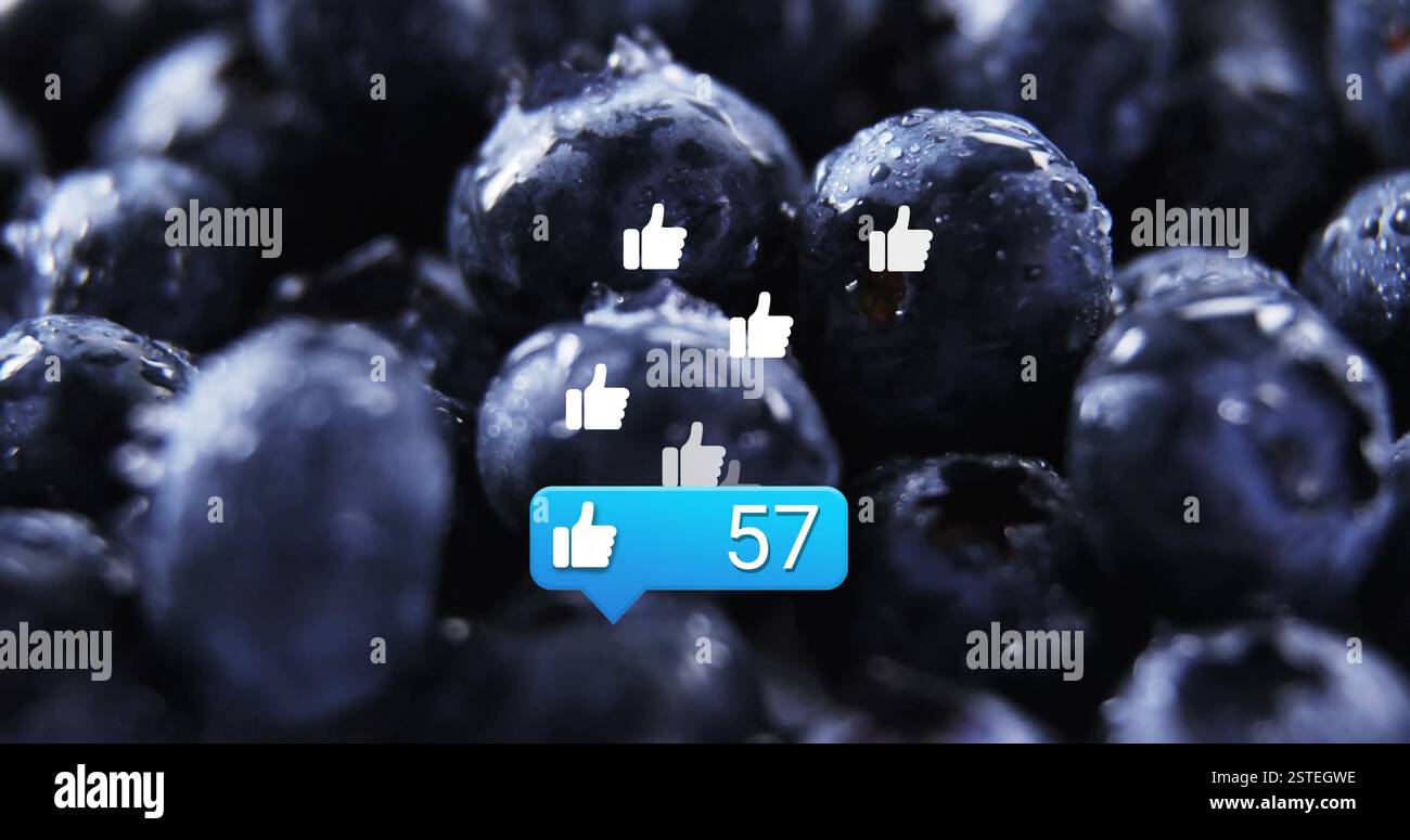 Mirtilli con icone di social media e immagini di 41 mi piace Foto Stock