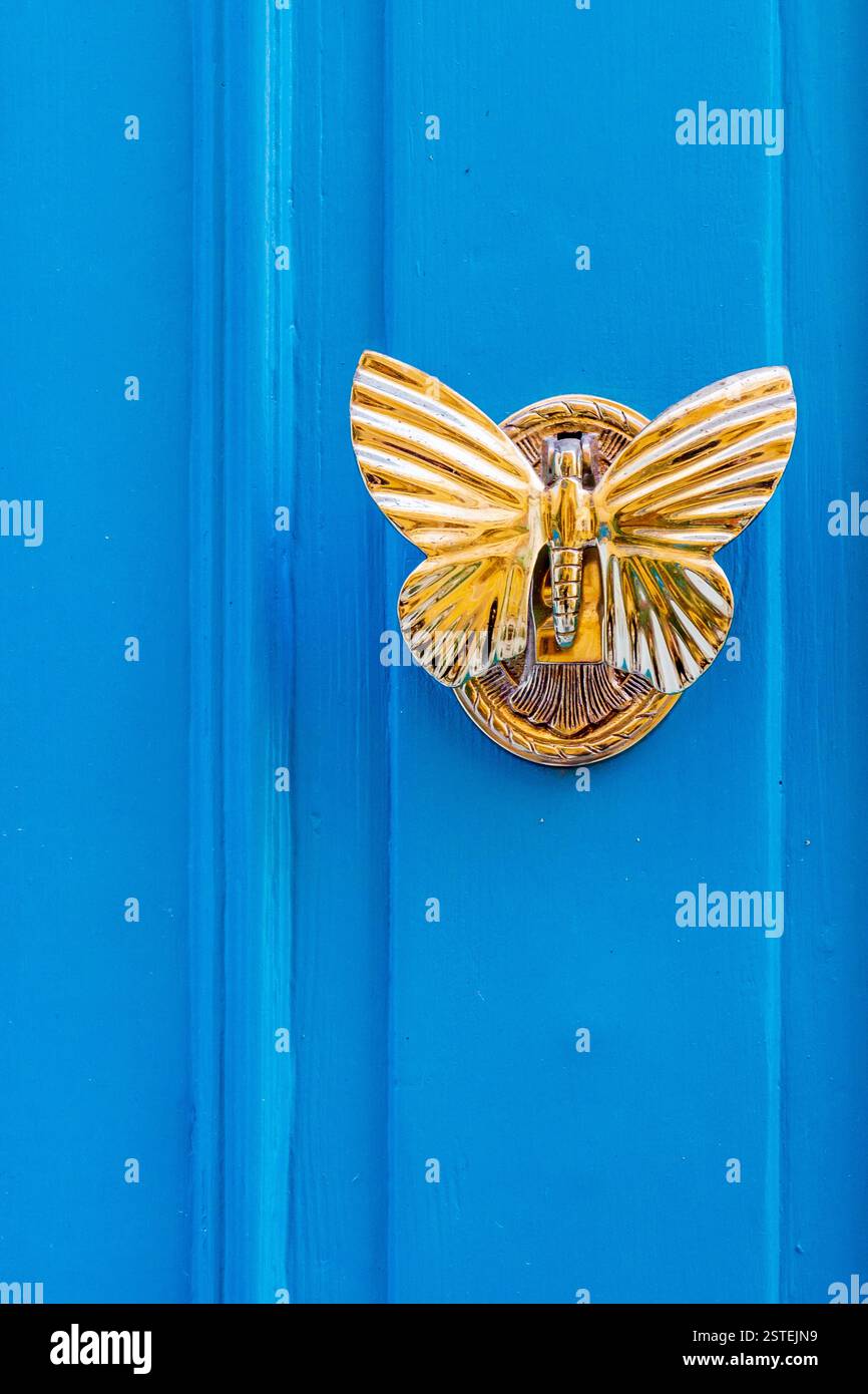 Battente Golden Butterfly Door su vibrante porta di legno blu Foto Stock