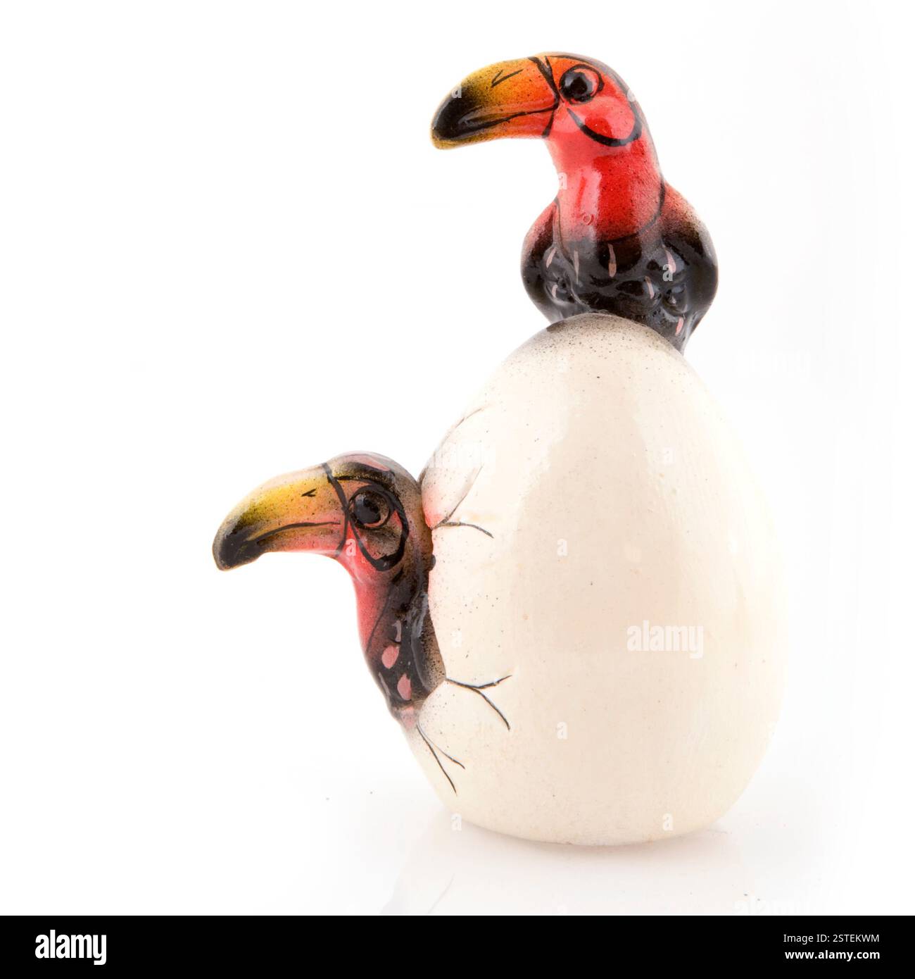 Uccelli neri e rossi Foto Stock