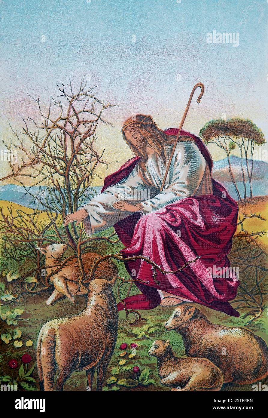 Cromo-litografia di Gesù Cristo come il buon Pastore (Vangelo) dall'Antico XIX secolo la Bibbia pratica e devozionale della famiglia con commenti Foto Stock