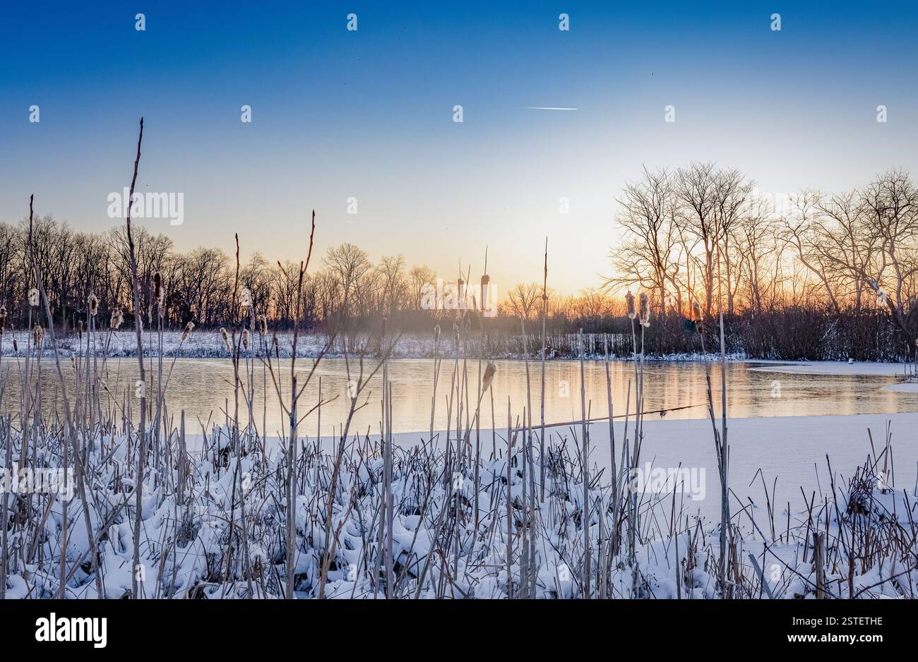 Passeggiata mattutina invernale in un prato tranquillo Foto Stock