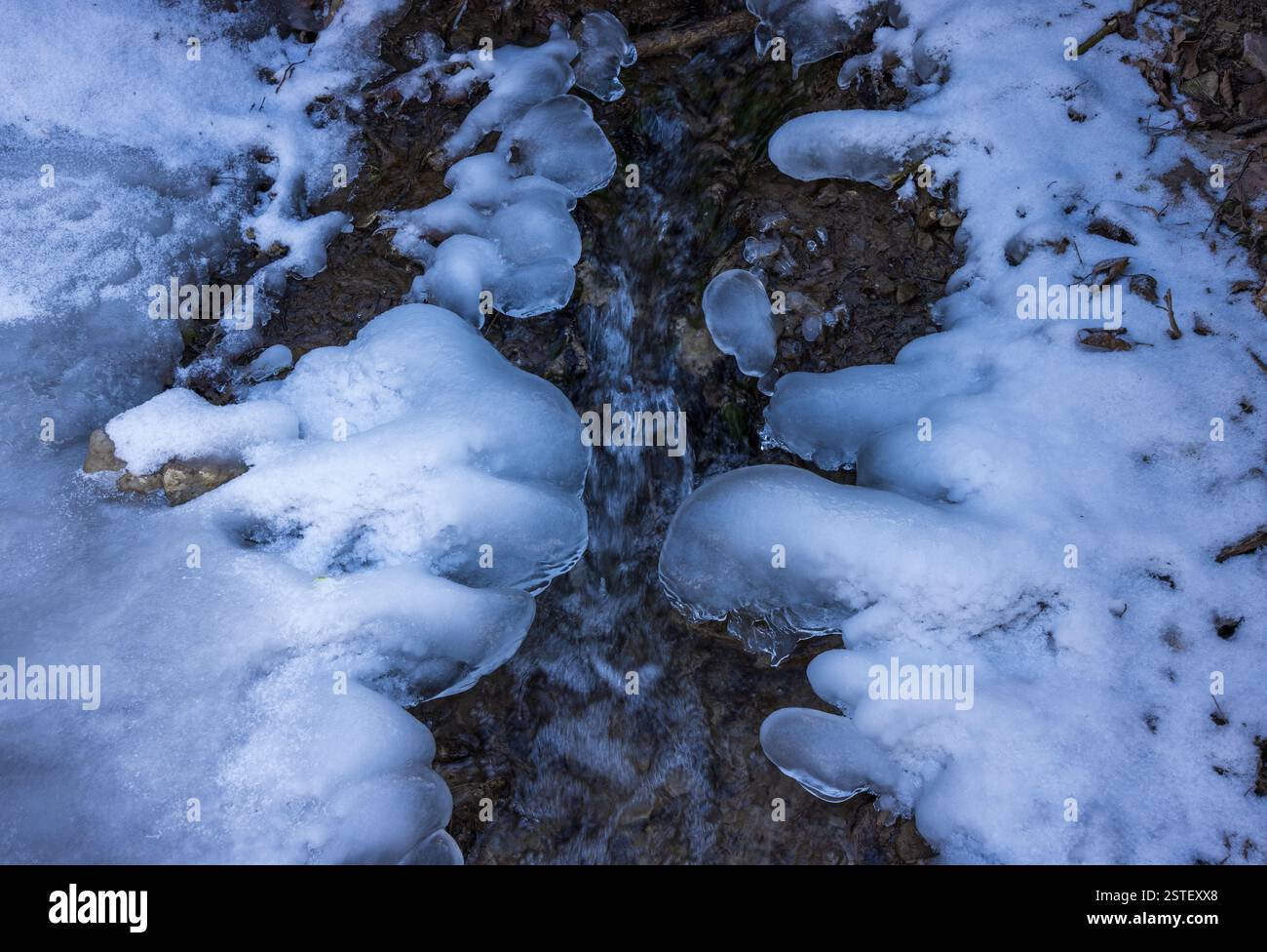 Una tranquilla scena invernale cattura un flusso freddo che scorre attraverso una coperta di neve incontaminata, mostrando la bellezza della natura nella sua forma ghiacciata e tranqu Foto Stock