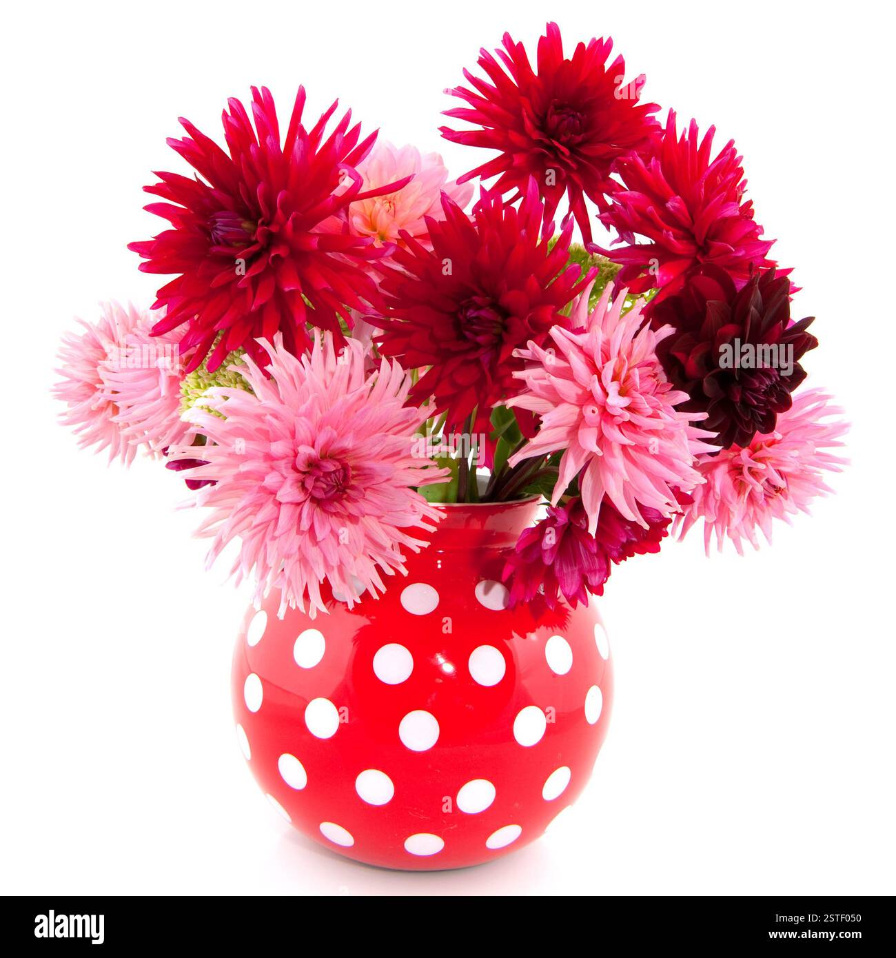 Bouquet di dalie Foto Stock