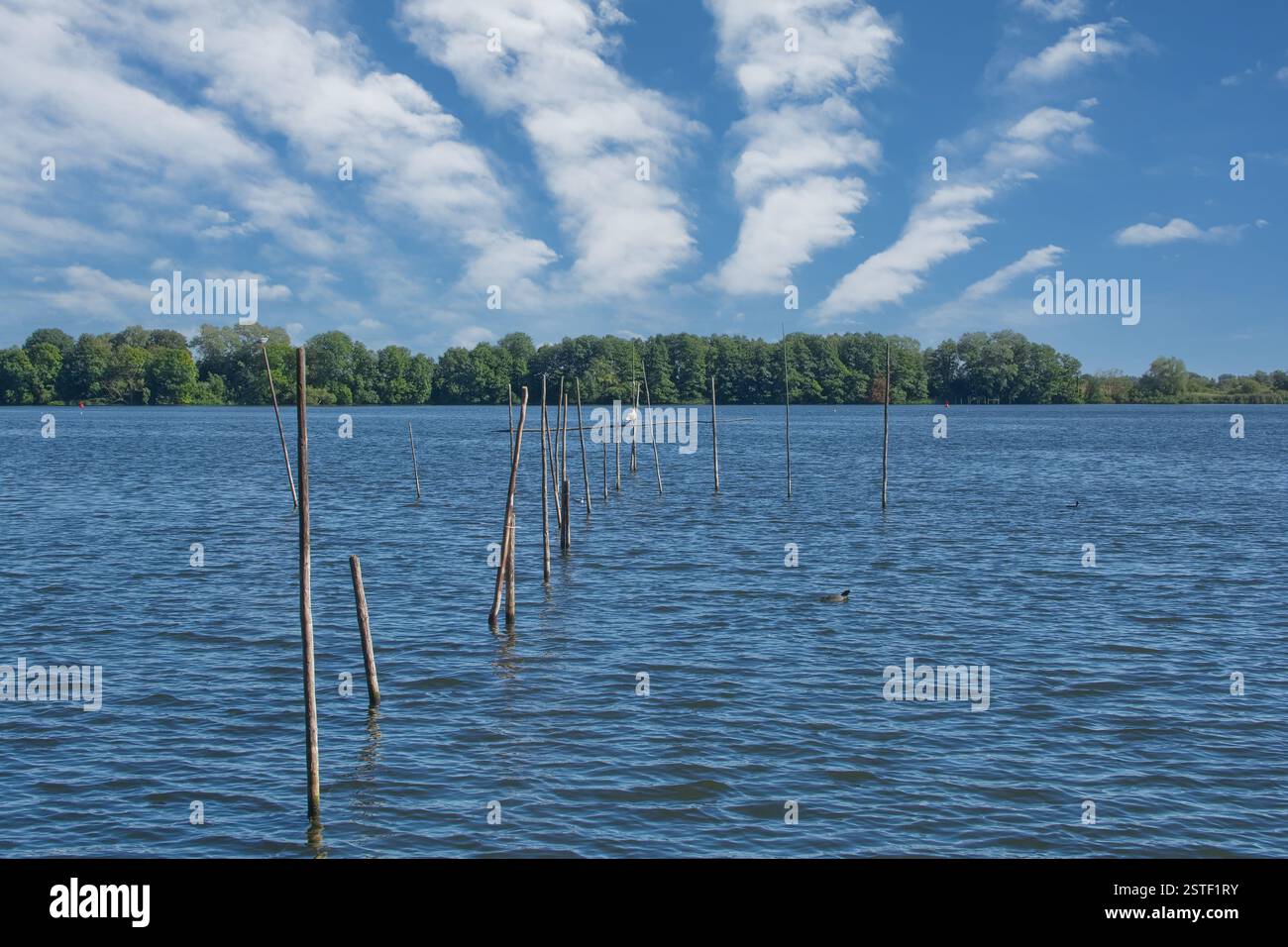 Reti e tonnare per la pesca nel Parco nazionale di Muritz, nel distretto dei laghi del Meclemburgo, nel Meclemburgo-Vorpommern, in Germania Foto Stock