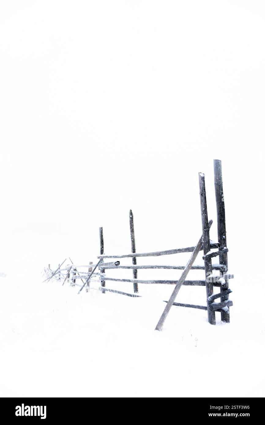 Recinzione in legno ricoperta di neve in un paesaggio invernale a pecorina Foto Stock