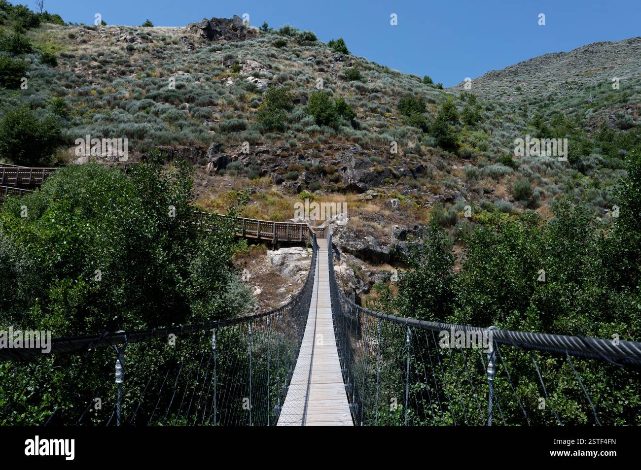 Uno stretto ponte sospeso si estende attraverso la vegetazione lussureggiante nel suggestivo sentiero escursionistico PassadiCos do Mondego Foto Stock