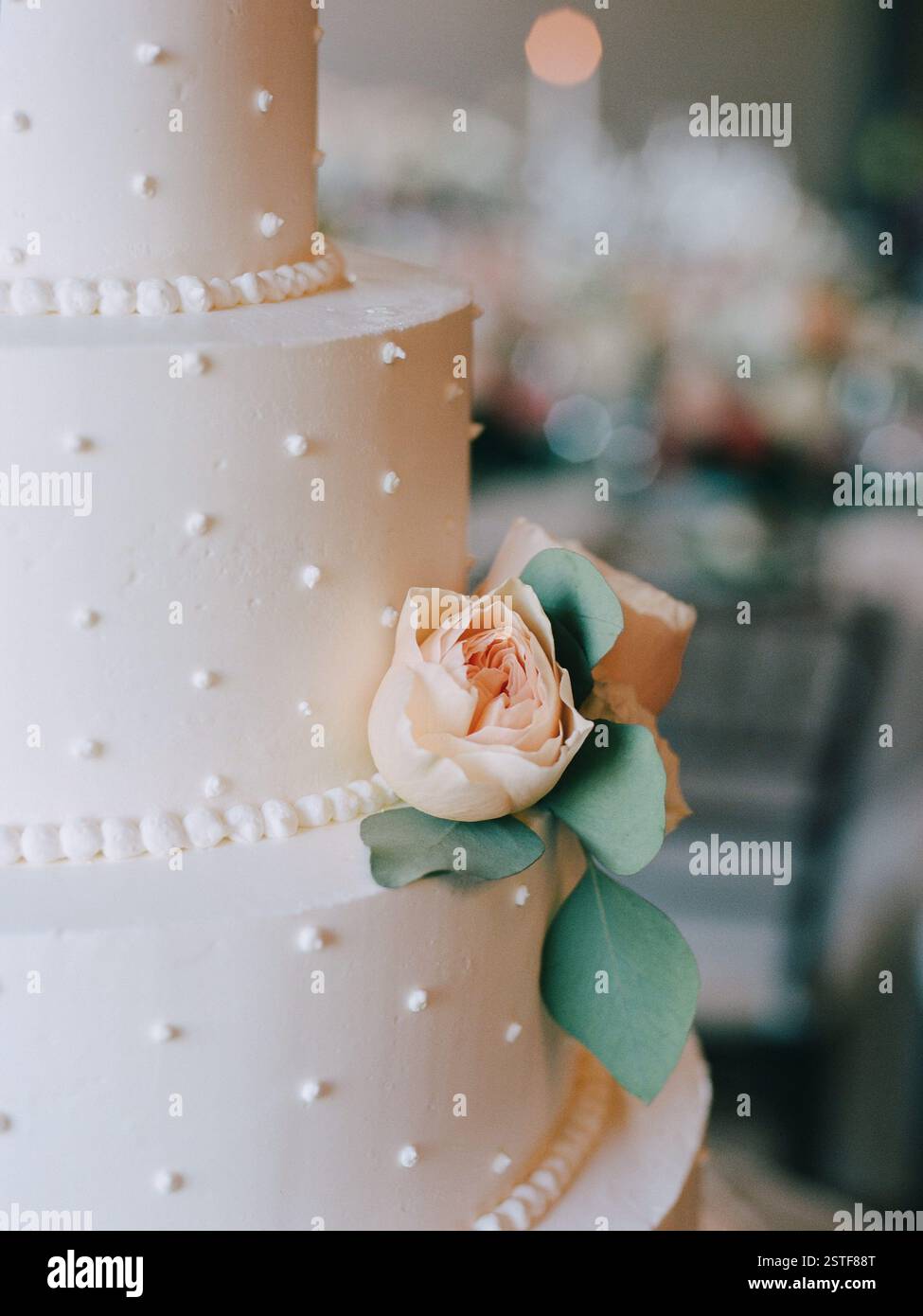 Una torta nuziale splendidamente progettata con rose fresche in un ricevimento decorato, delicatamente sfocato sullo sfondo. Foto Stock
