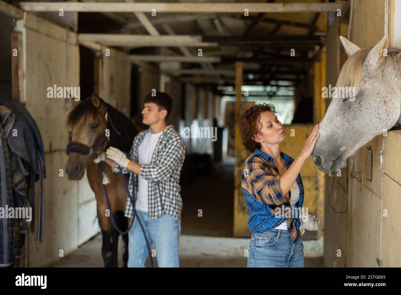 Bella proprietaria che abbraccia e accarezza il cavallo in fattoria. Concetto di amore per i cavalli. In background giovane ragazzo che guida il cavallo Foto Stock