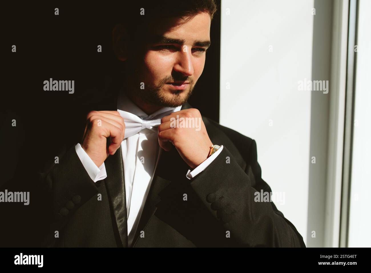 Ritratto di nozze di groom Foto Stock