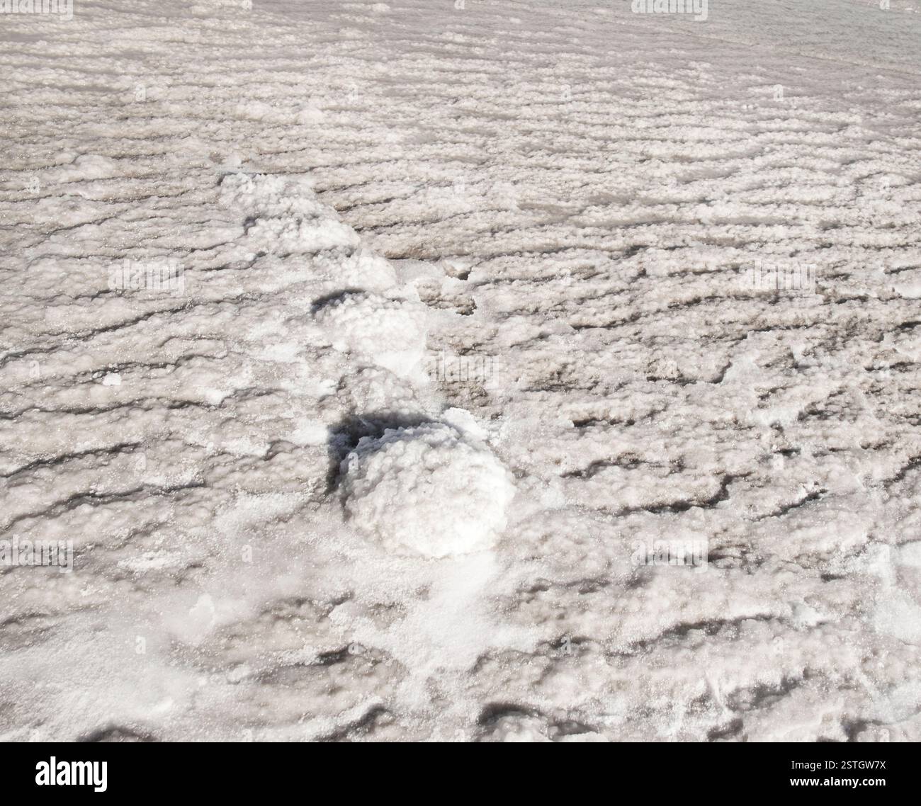 Splendide formazioni di cristallo salato lungo la riva del Mar morto, una spa naturale conosciuta per le sue proprietà curative. Foto Stock