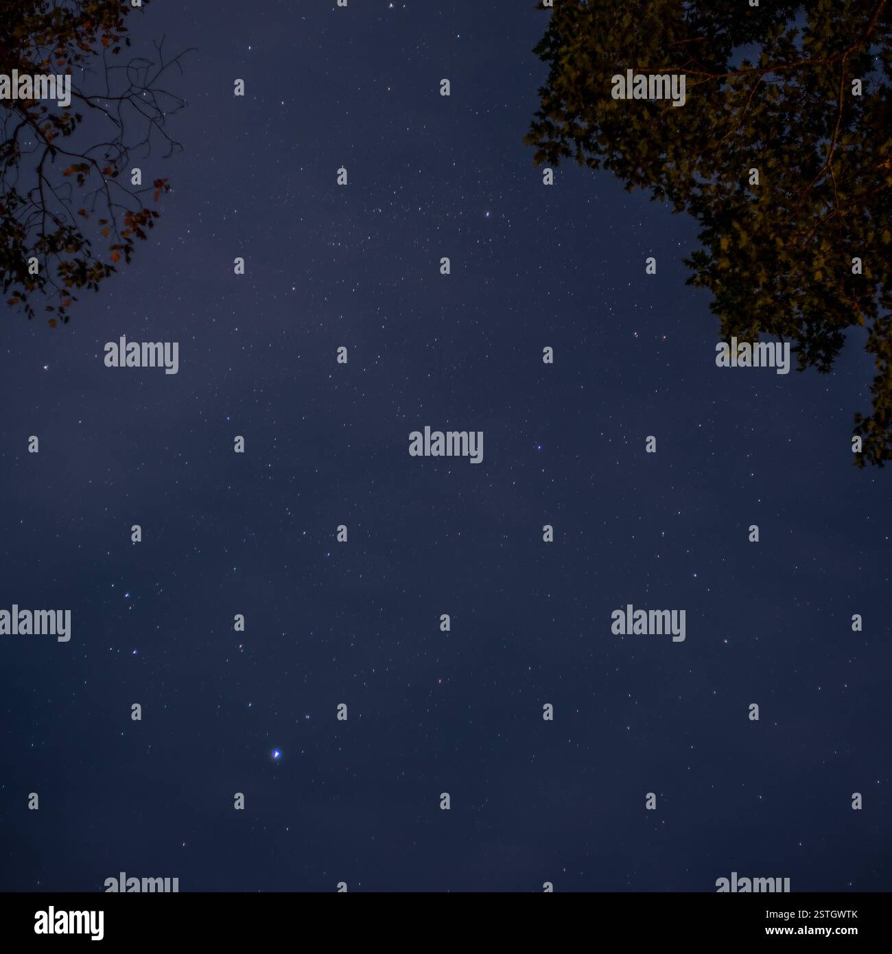 Un sereno cielo notturno pieno di stelle su uno sfondo blu profondo che cattura la bellezza pacifica del cosmo. Foto Stock