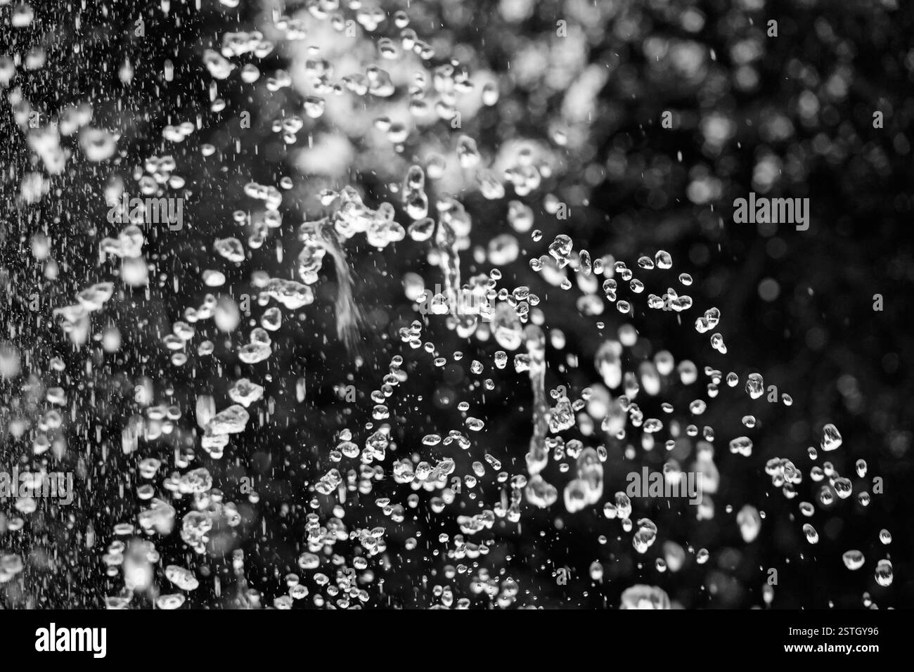 Gocce d'acqua volare in aria su sfondo nero il fuoco selettivo. Spruzzi di acqua nel buio di una goccia di acqua battenti Foto Stock