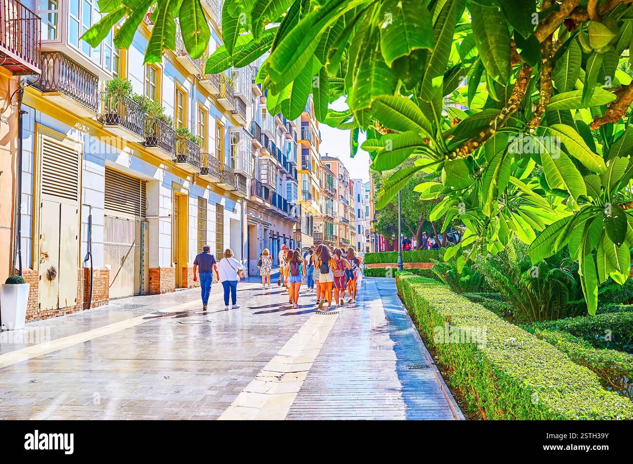 La vista sulla affollata Cister Street attraverso il verde del giardino della Cattedrale, Malaga, Spagna Foto Stock