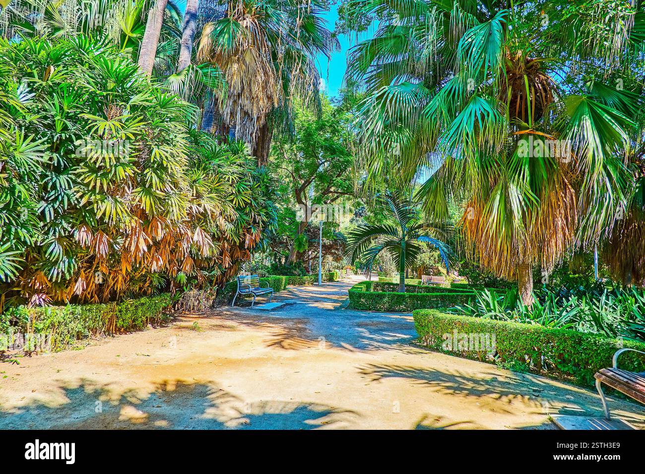 A piedi il vicolo curvo del parco di Malaga e godere di vegetazione lussureggiante, aiuole, topiaria da piante e Giardino sculture, Spagna Foto Stock