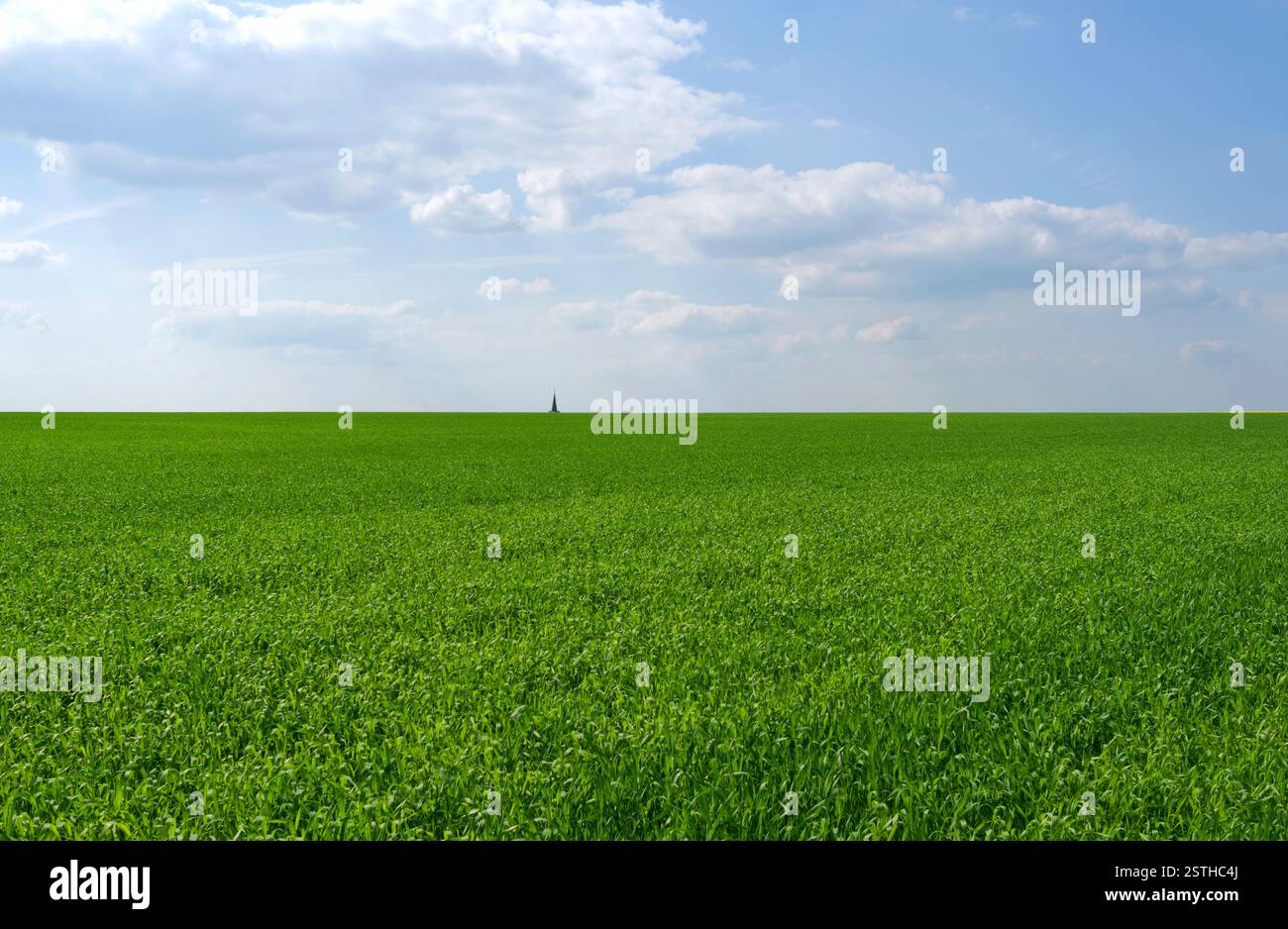 Altkirchen, Germania: Vista su un primo campo verde della guglia solitaria della chiesa di Altkirchen all’orizzonte Foto Stock