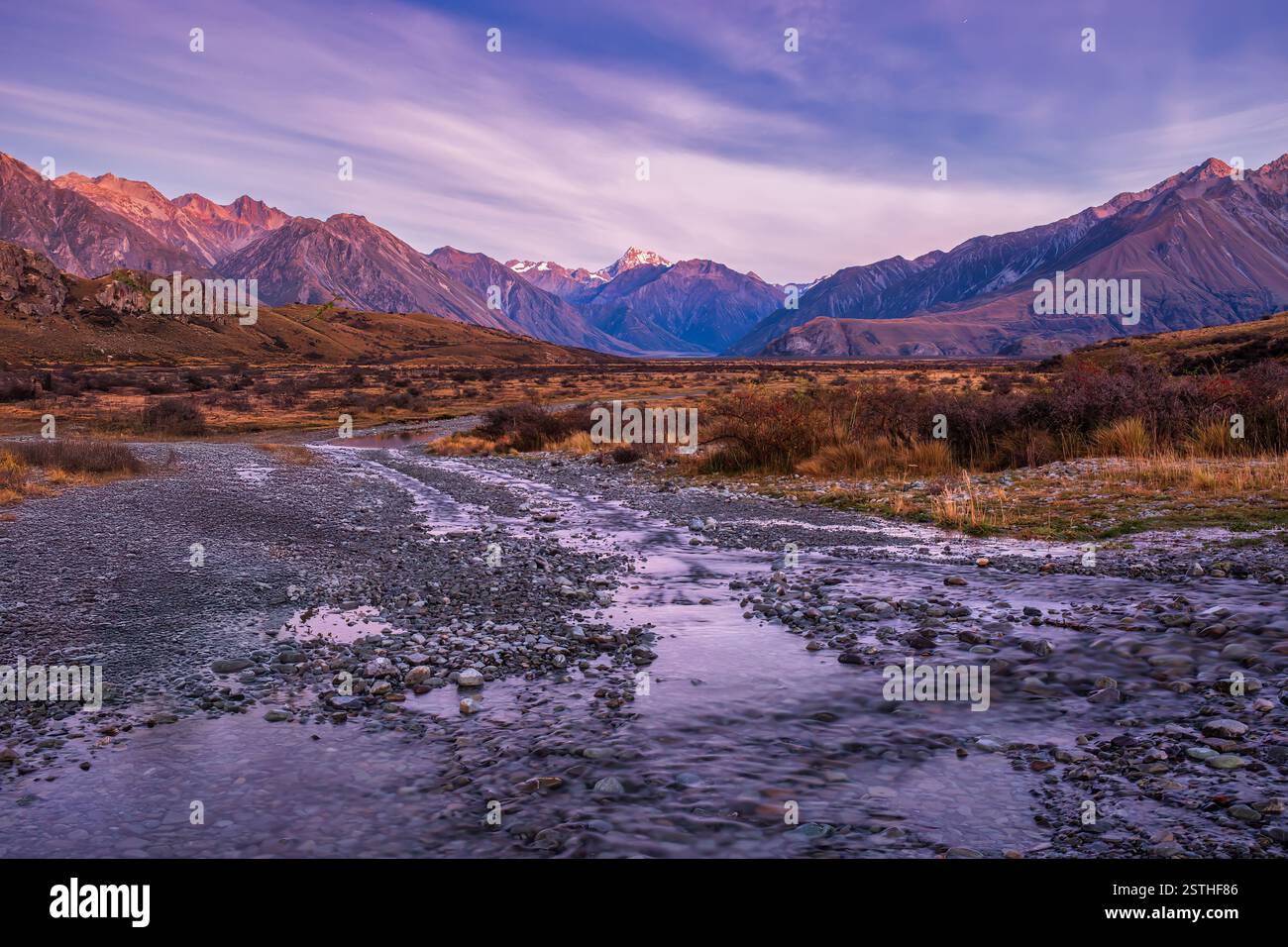 Camminando attraverso le erbe alpine e i cespugli spinosi verso il Monte Sunday (Edoras da il Signore degli anelli) con lo sfondo delle Alpi meridionali innevate Foto Stock