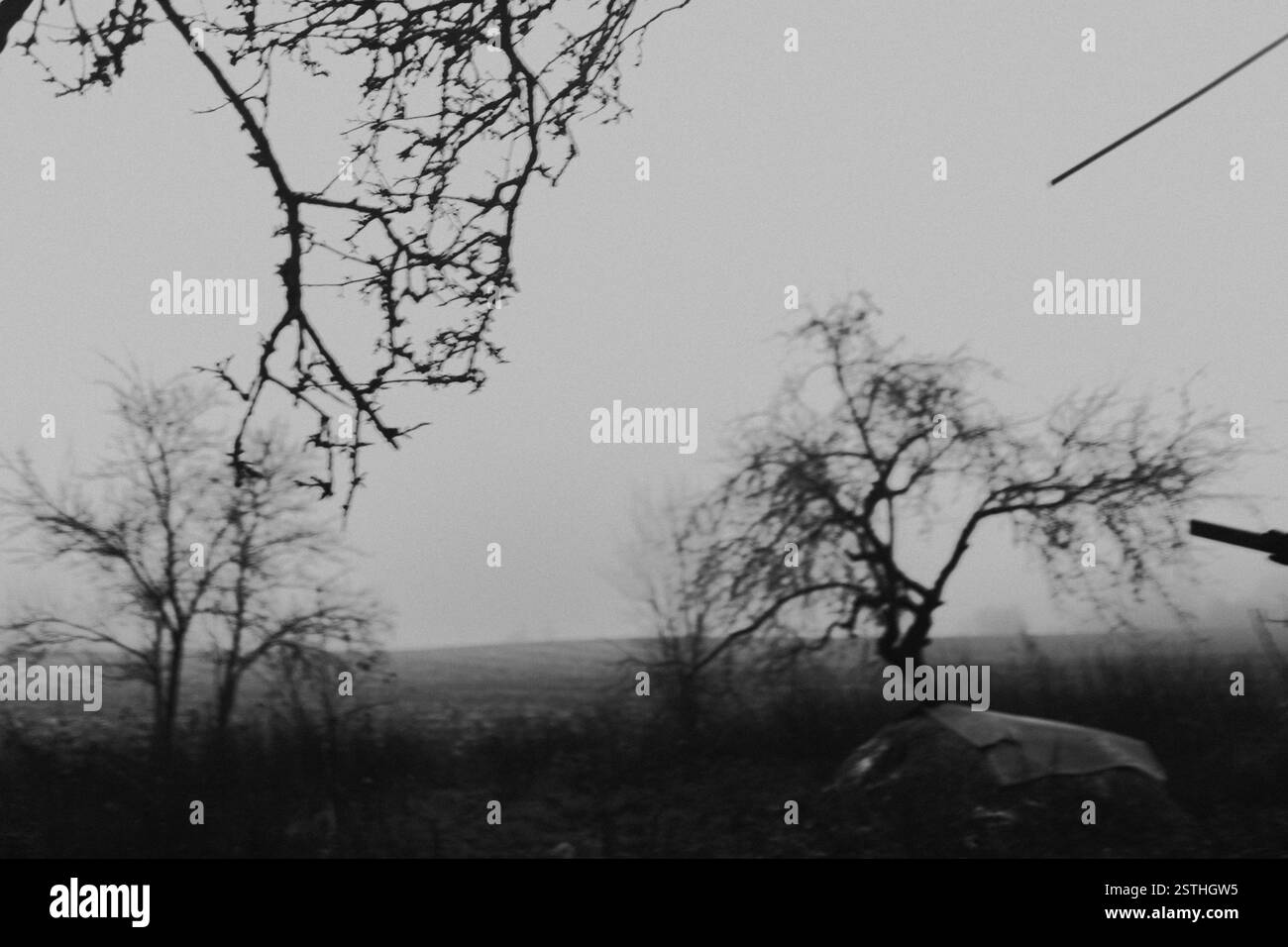 Un paesaggio rurale nebbioso con alberi e rami sagomati che creano un'atmosfera cupa Foto Stock