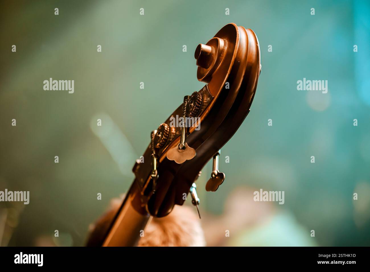 Primo piano di una paletta con bassi doppi sul palco con illuminazione calda. L'attenzione è concentrata sui perni di sintonizzazione, con uno sfondo sfocato di un concerto. Foto Stock