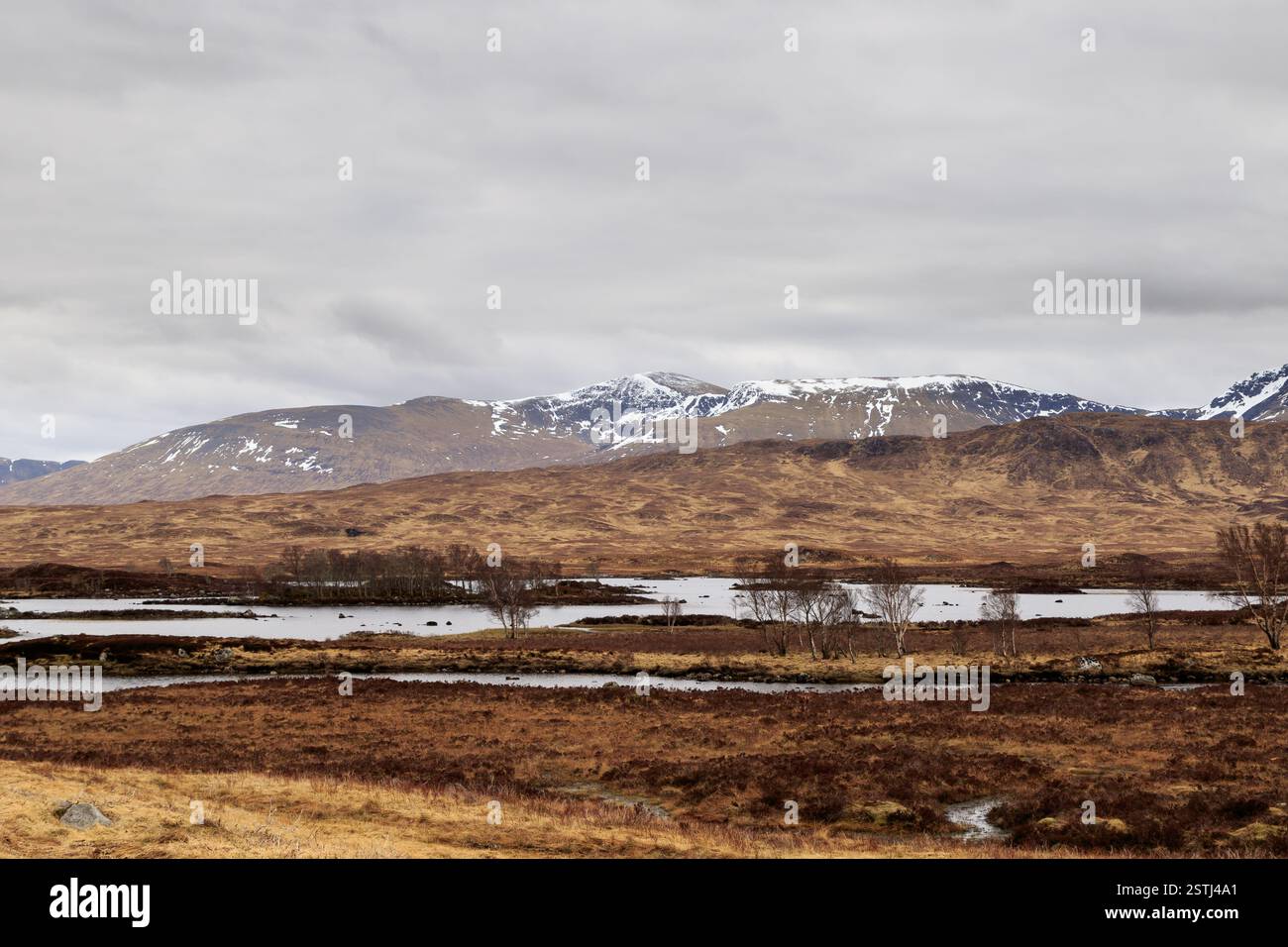 Rannoch Moor Foto Stock