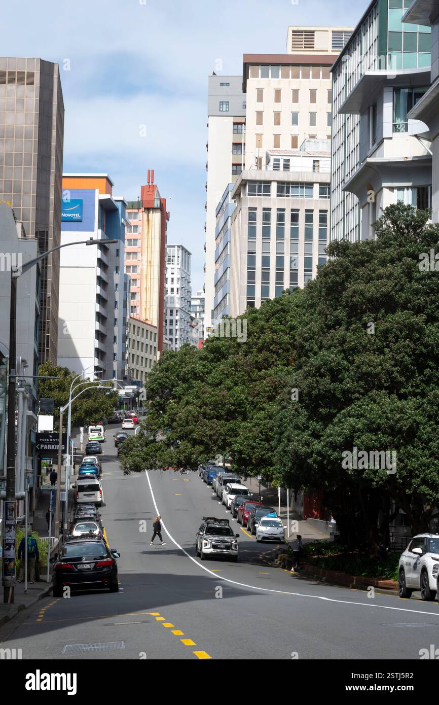Alti edifici per uffici, The Terrace, Wellington City Centre, North Island, nuova Zelanda Foto Stock
