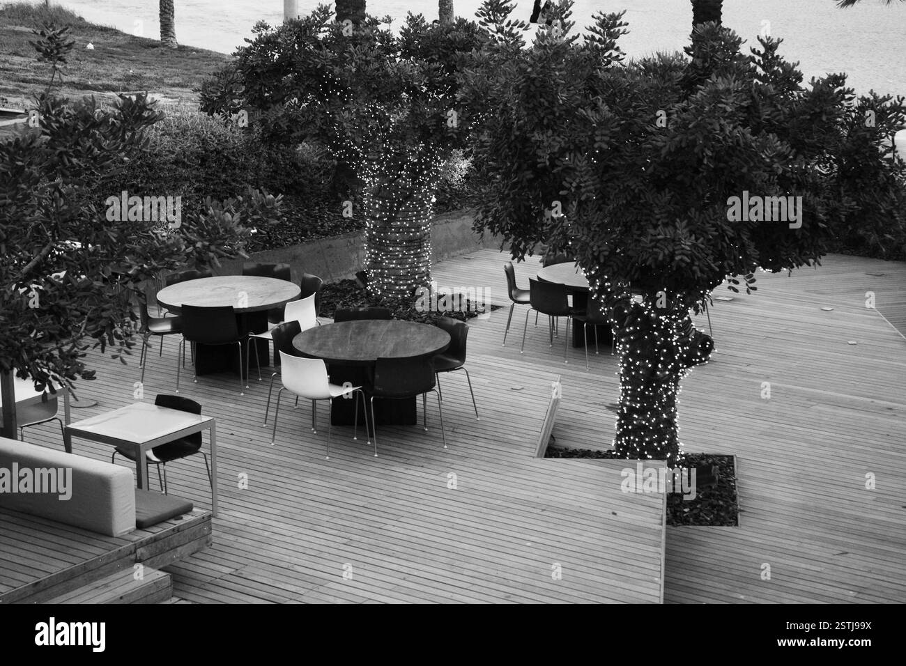 Patio all'aperto bianco e nero con alberi avvolti da luci. Scena monocromatica, cene all'aperto e un senso di atmosfera. Foto Stock