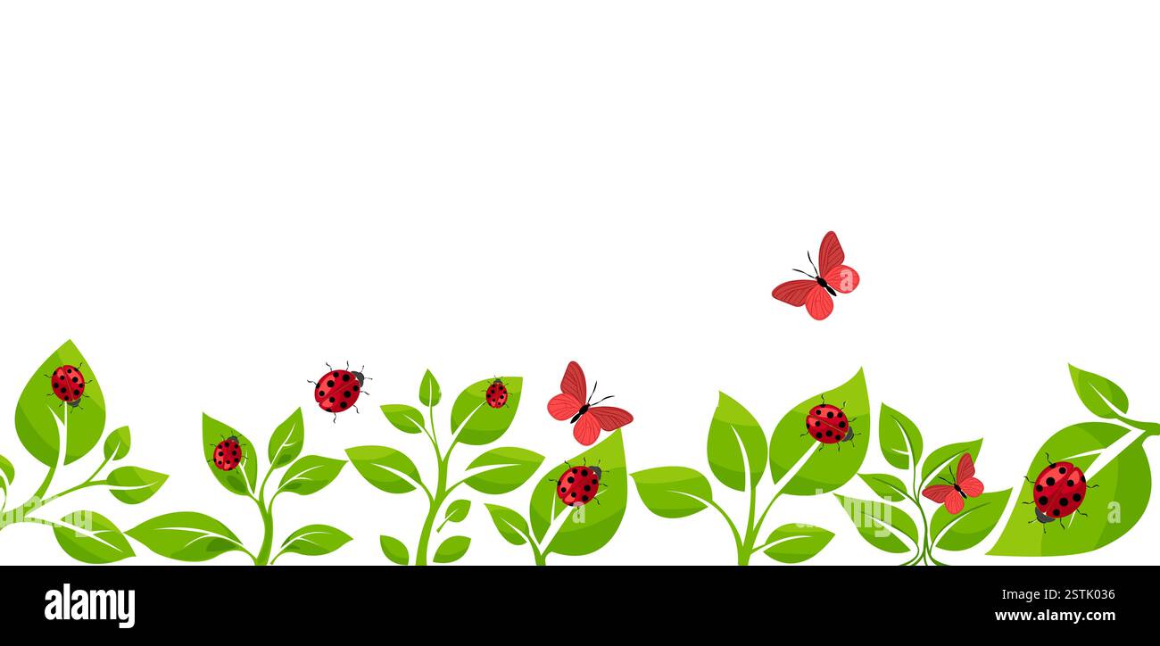 Illustrazione vettoriale colorata di piante, coccinelle e farfalle in un vivace giardino Illustrazione Vettoriale