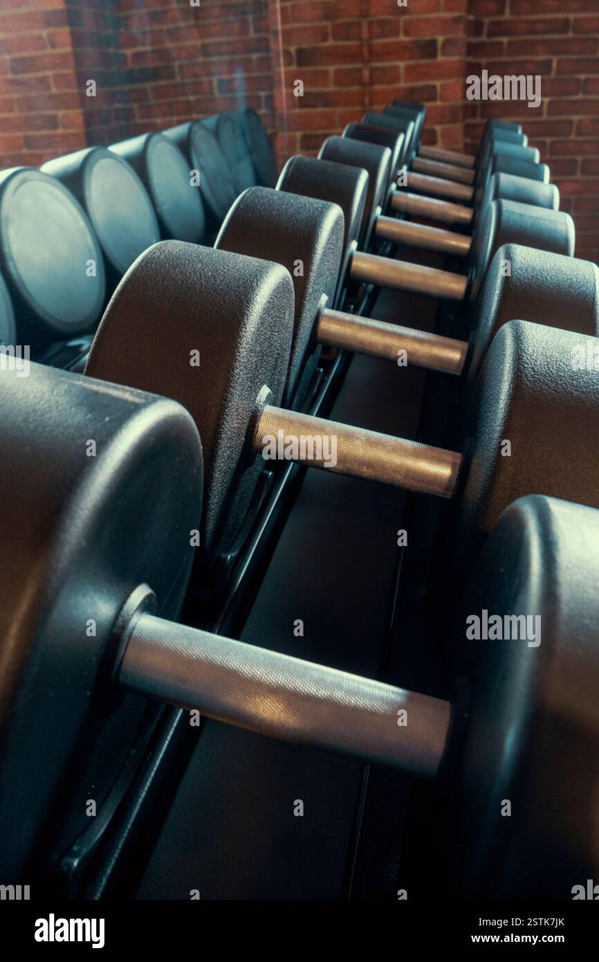 File di manubri in palestra con riflessi a specchio in tonalità retrò Foto Stock
