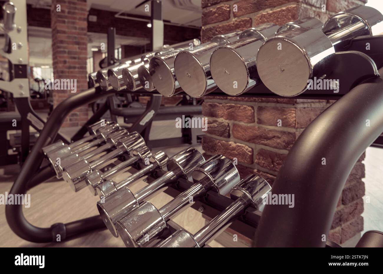 File di manubri metallici su rack in palestra Vintage Brown Color Tonied Image. Foto Stock
