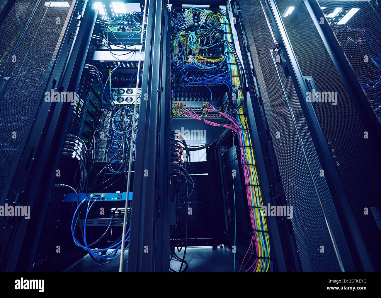 Dischi rigidi e cavi nel data center Foto Stock