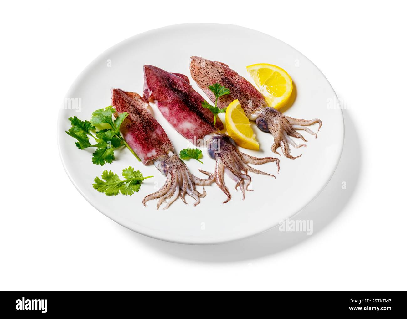 Calamari crudi freschi su un piatto bianco con limone e prezzemolo isolati su sfondo bianco Foto Stock