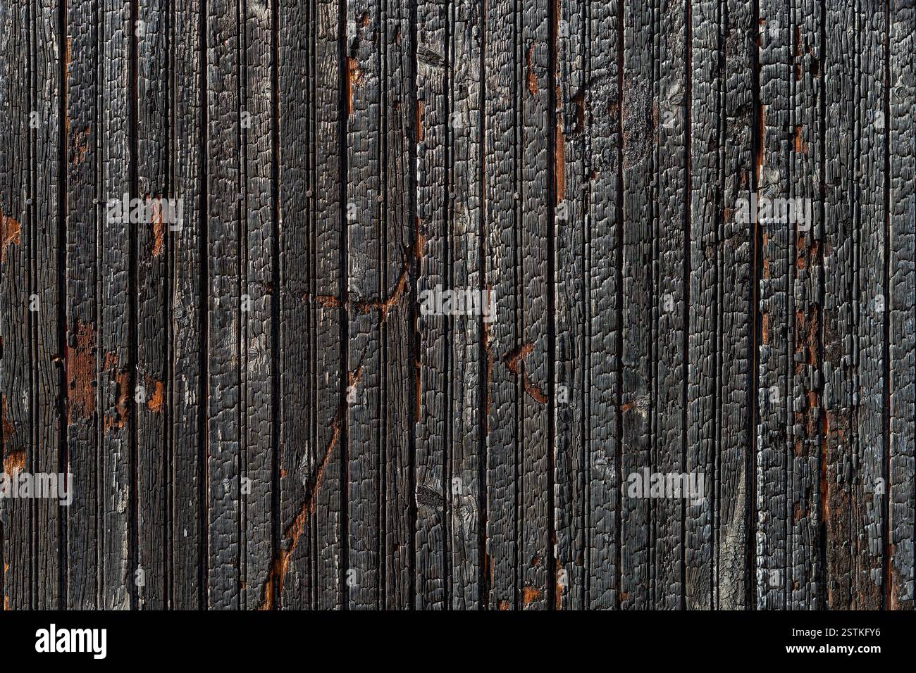 Le tavole di legno carbonizzato sono caratterizzate da un'intensa giornata di sole. Sfondo di tavole di legno bruciate. Le pareti di legno bruciate sono diventate nere dal calore e dal fuoco. Full frame. Foto Stock