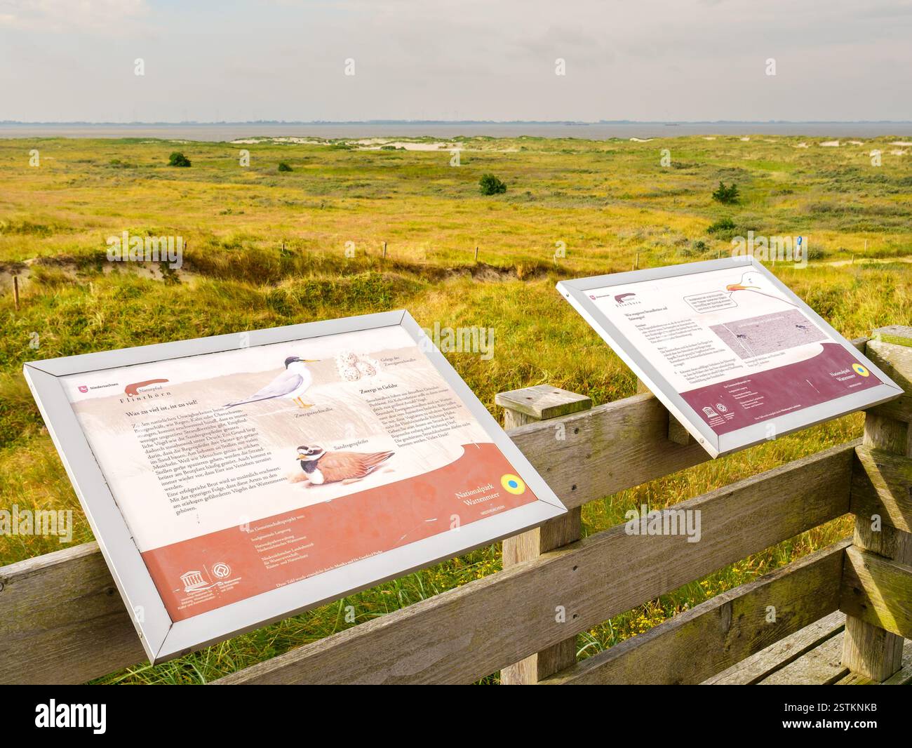 Cartelli informativi per il birdwatching sulla piattaforma di Flinthörn che si affaccia sulle dune e sul mare di Wadden sull'isola della Frisona orientale di Langeoog, bassa Sassonia, Germania Foto Stock