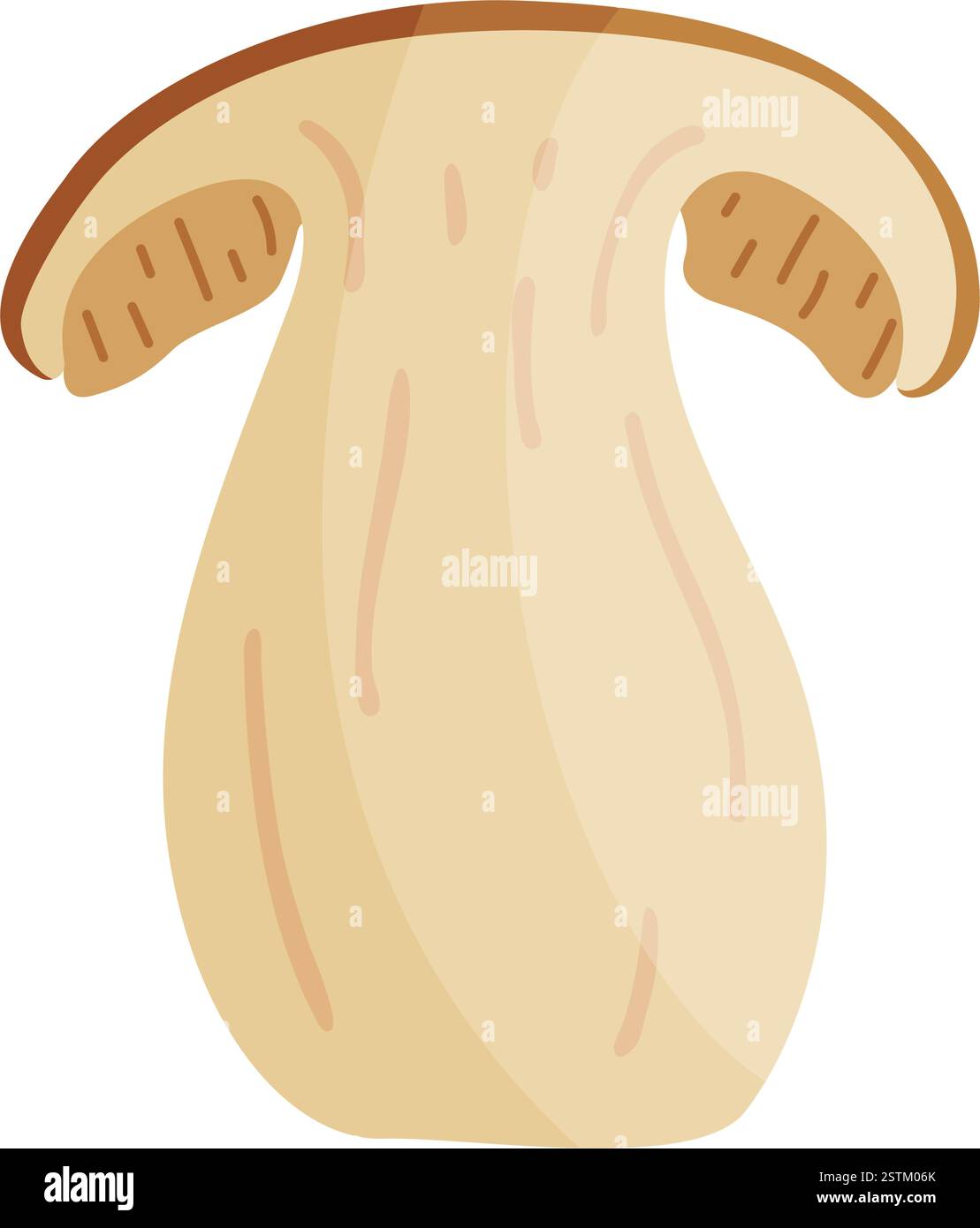 Funghi porcini a fette. Funghi forestali commestibili disegnati a mano, icona isolata in stile piatto e alla moda. Fetta di fungo in bolo fresco. Fungo autunnale. Illustrazione del vettore botanico Illustrazione Vettoriale