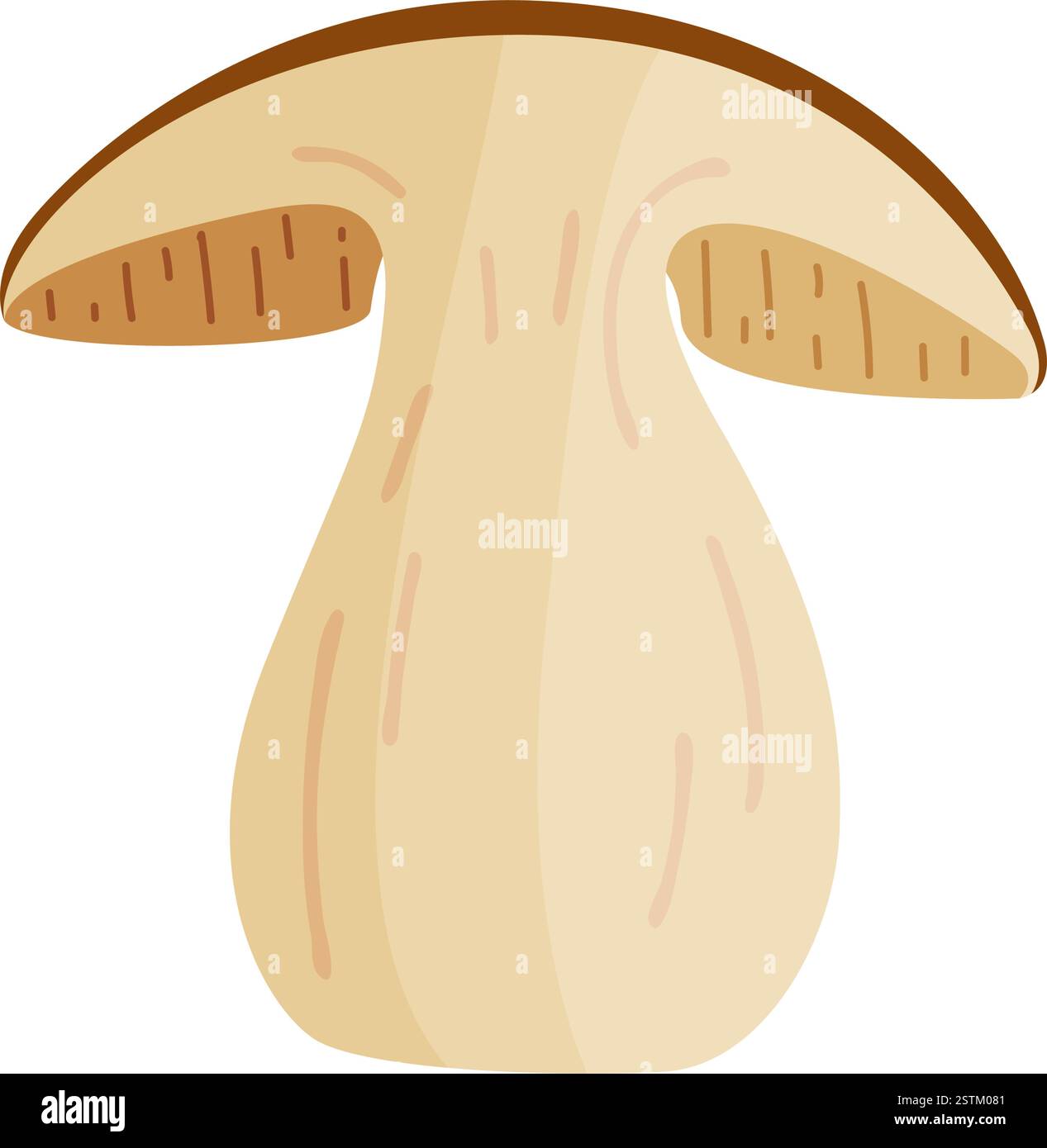 Funghi porcini a fette. Funghi forestali commestibili disegnati a mano, icona isolata in stile piatto e alla moda. Fetta di fungo in bolo fresco. Fungo autunnale. Illustrazione del vettore botanico Illustrazione Vettoriale
